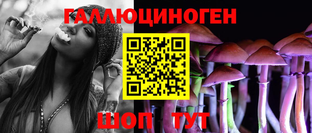 Псилоцибиновые грибы прущие грибы Сланцы